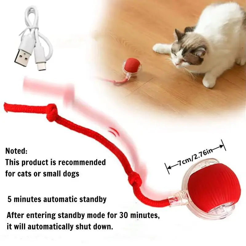 Electric Rolling Cat Ball Toy with Rope, Interactive Cat Teaser Toy, Automatic Ball Toy Pet Supply for Dogs & Cats, Interactive Kitten Wand, Kitty