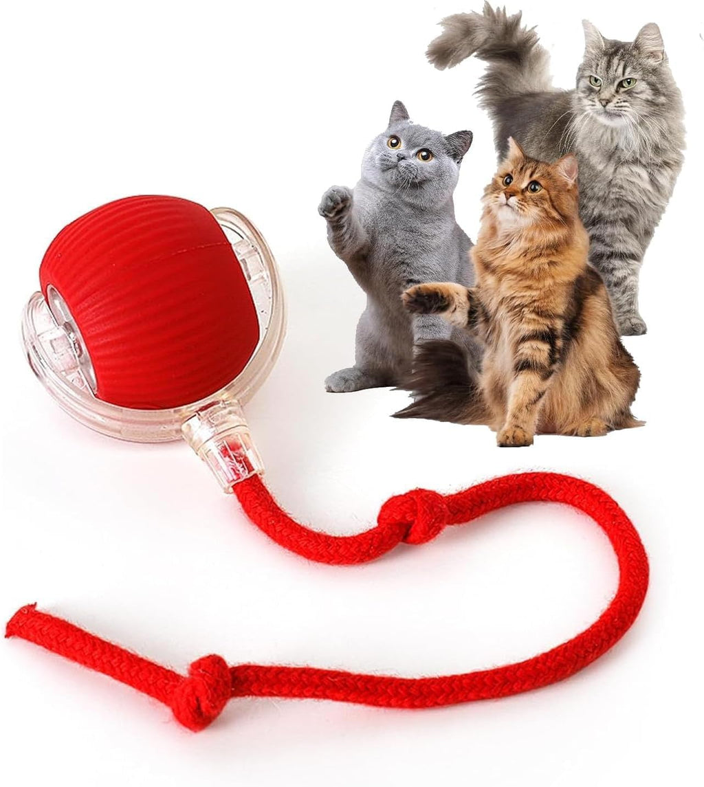 Electric Rolling Cat Ball Toy with Rope, Interactive Cat Teaser Toy, Automatic Ball Toy Pet Supply for Dogs & Cats, Interactive Kitten Wand, Kitty