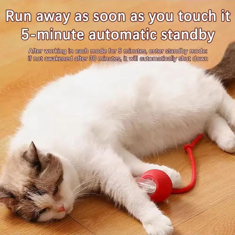 Electric Rolling Cat Ball Toy with Rope, Interactive Cat Teaser Toy, Automatic Ball Toy Pet Supply for Dogs & Cats, Interactive Kitten Wand, Kitty